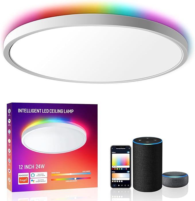 MELEGAN 12 Inch Smart RGB LED Flush Mount Ceiling Light (1 Pcs) | 24W RGB Mood Light, Multi Scenes, Night Light, Flush Mount, Dimmable 2700-6500K, WiFi Alexa Google, for Bedroom, Living Room