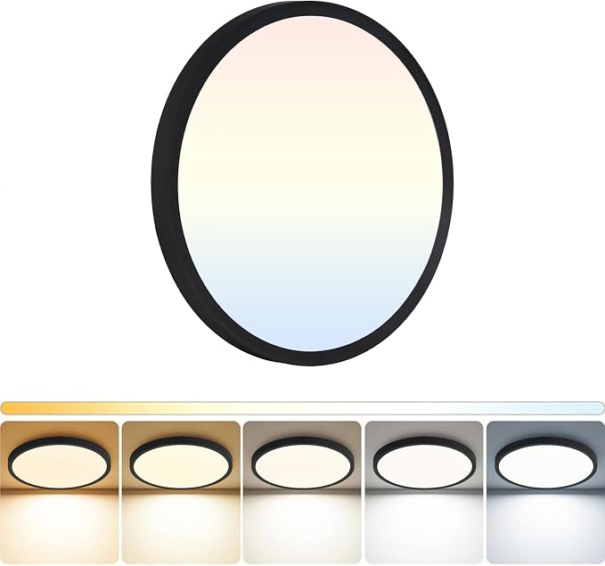 LED Flush Mount Ceiling Light: 12 inch 1Pack Super Slim Dimmable & 5CCT (2700-6500K) Kitchen Lighting Fixtures Ceiling - 24W Black Low Profile Ceiling Lamp for Bedroom Garage Hallway