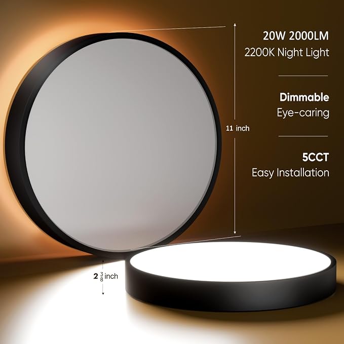 11 Inch Flush Mount Ceiling Light with Remote Control & Night Light, 5CCT Dimmable Ceiling Light Fixture, 20W 2000LM 2700K-6500K Adjustable LED Ceiling Lights for Bedroom Kitchen, Black