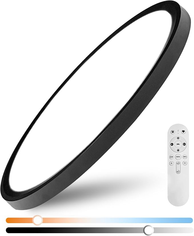 20 Inch Remote Control LED Flush Mount Ceiling Light, 42W 4200LM Dimmable & 2700K-6500K Color Temp Adjustable, Ultra-Thin Flat Round Fixtures for Bedroom Kitchen Office Apartment, Black
