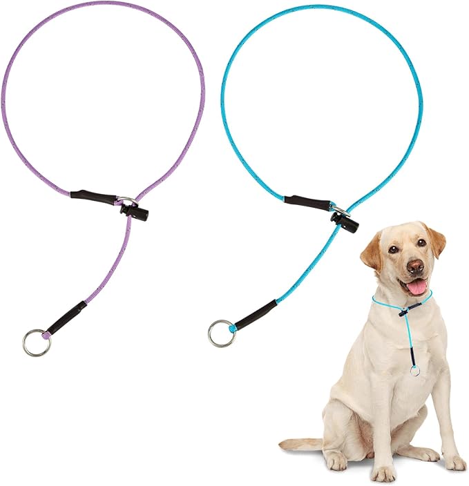 26" Dog Slip Collar – 5/32" Paracord Rope Dog Collar with Spring-Loaded Stopper & Stainless Steel O-Ring, Reflective for Low-Light Visibility (Light Blue & Purple)