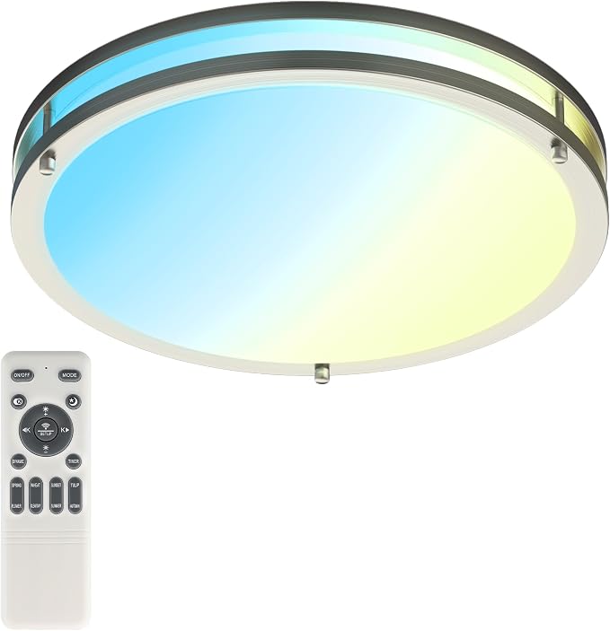 Ceiling Lights Flush Mount with Remote: LED Silver Ceiling Lighting 8 Modes Dimmable Color, Adjustable Temperature for Bedroom, Living Room, Kitchen (16 Inch)