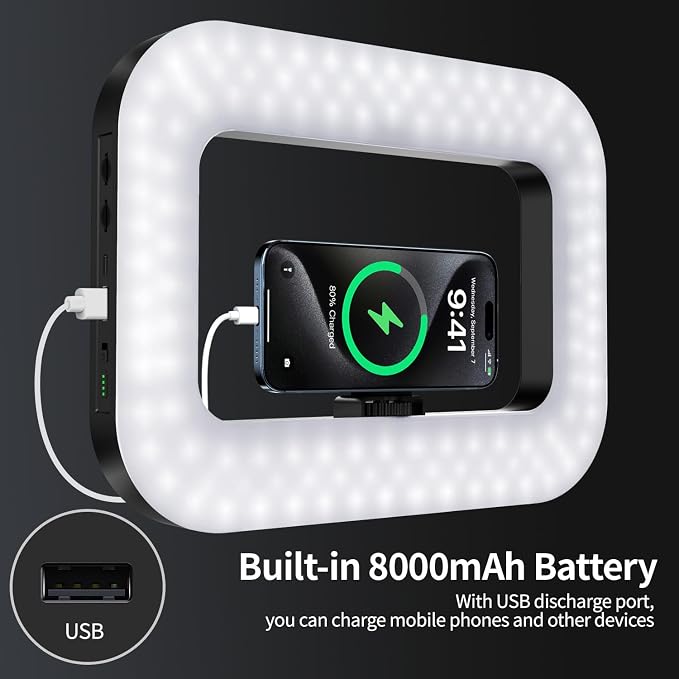Magnetic Cell Phone Light for Video Recording, Handheld Phone Stabilizer with Light, 8000mAh LED Selfie Phone Ring Light with Phone Holder, Smartphone Video Rig for Camera, Vlog, TikTok