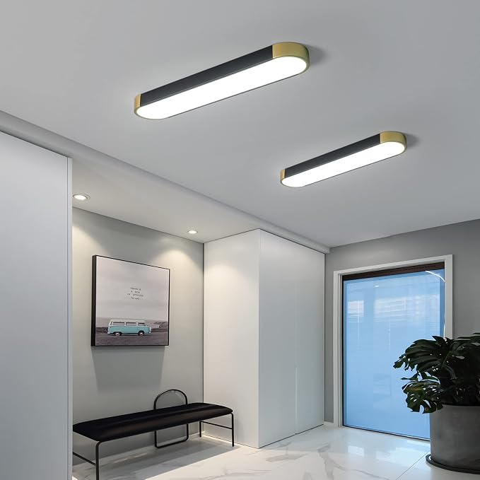 Tioolo Modern Ceiling Light, Dimmable LED Ceiling Light with Remote, 27.5in | Linear Flush Mount Ceiling Light, Black Gold Ceiling Light Fixture, 3000K-6500K, Memory, 36W for Kitchen, Hallway, Closet