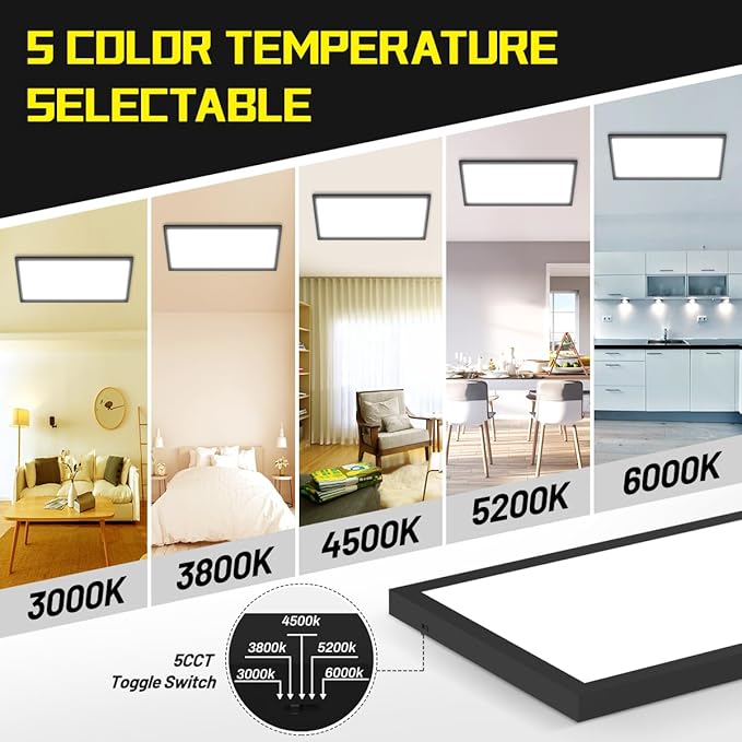 1x2 LED Flat Panel Light Surface Mount 2-Pack, Flush Mount Ceiling Light 24W 2880LM, 5CCT 3000K/3800K/4500K/5200K/6000K, Dimmable Panel Lights Black