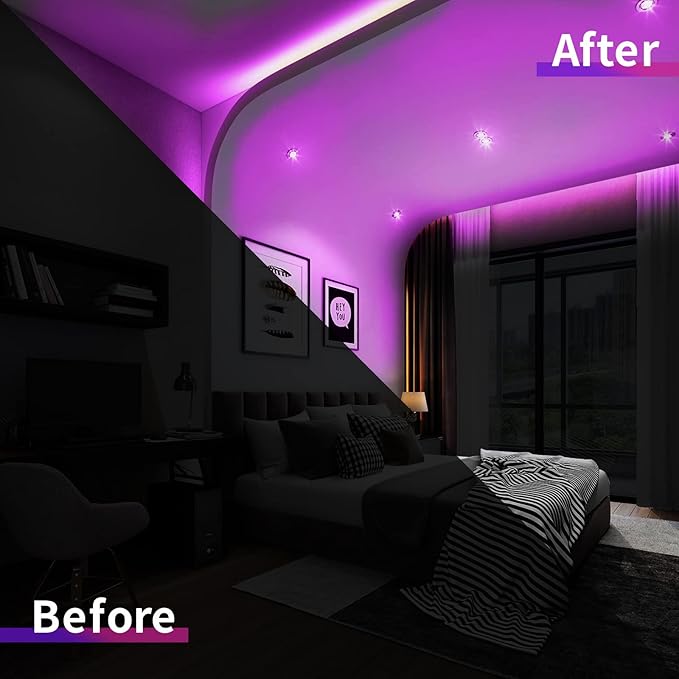 Neon Light Strip-2PCS/10M/32.8FT/Purple/Flexible and Waterproof LED Rope Light with Mounting Accessories for Indoor & Outdoor Decoration,[No Adapter]