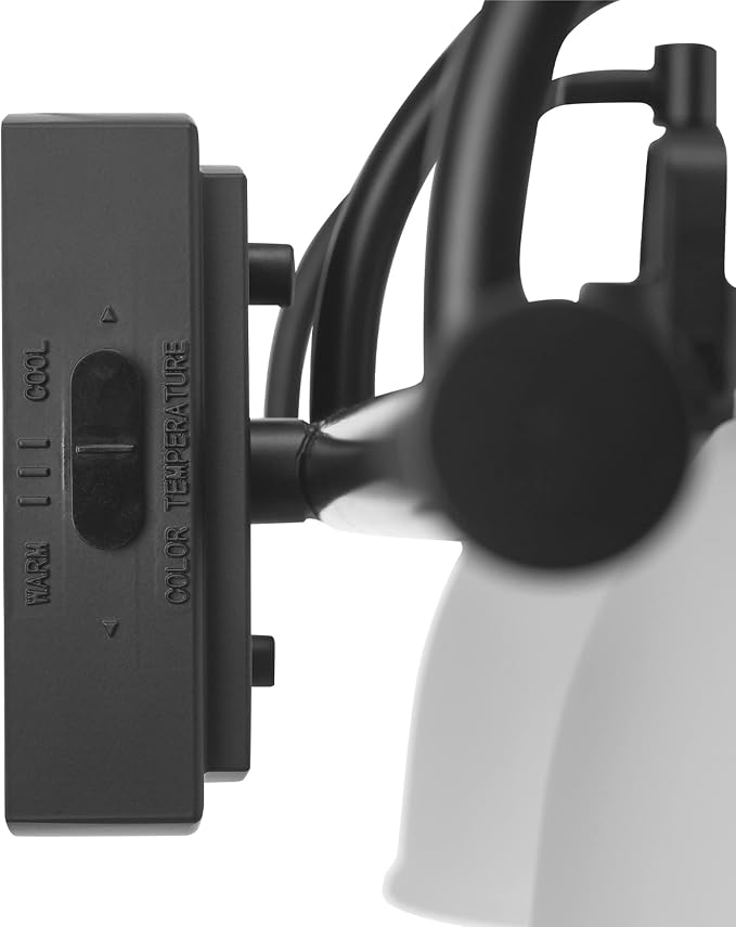 Globe Electric 52090 Gilroy 3-Light 25W Integrated LED Vanity Light with Selectable Color Temperature, Matte Black, Frosted Glass Shades, 1780 Lumens, 3000K-4000K-5000K Switch, Energy Star Certified