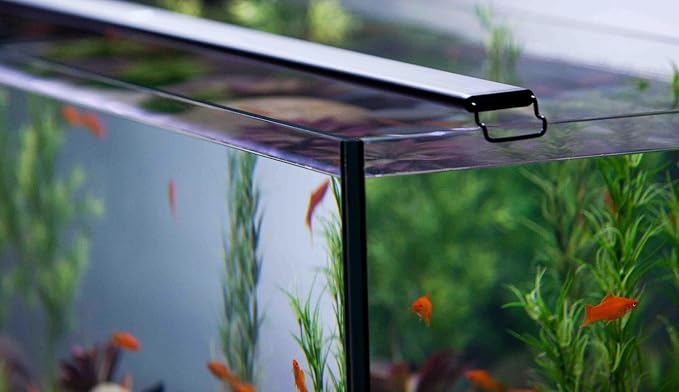 CURRENT USA 48-60" Satellite Color RGBW Full-Spectrum LED Aquarium Light - Freshwater, Wireless 24-Hour Timer, Adjustable Tank Mounts (4513)