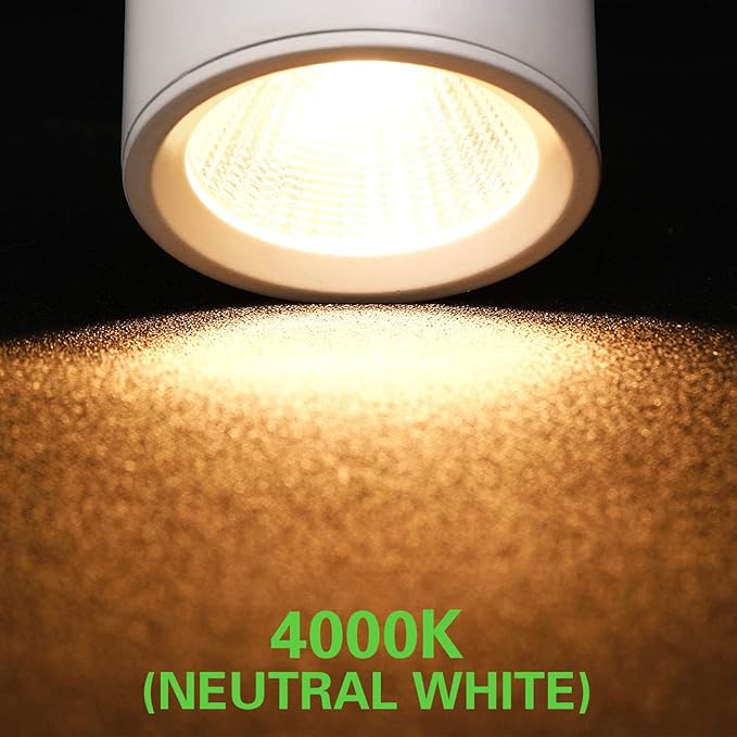 10W H Track Lighting Heads,Dimmable LED Track Light Heads for Accent Retail Artwork,4000K Netural White, Linear Track Light H Type - 110V 60°Angle Halo Type 12Pack (White)