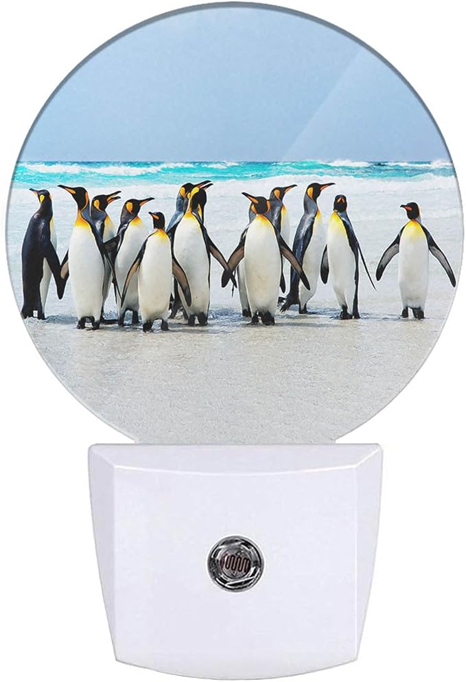 King Penguins Nightlight Antarctic Penguin Cute Animal LED Dusk to Dawn Plug-in Nightlight Auto Sensor for Bedroom Bathroom Hallway Living Room