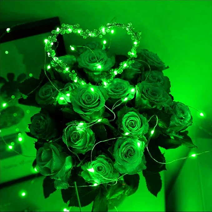 2 Pack 33Ft 100 LED Green St Patricks Day Fairy Lights, Plug in Mini String Lights with 16 Lighting Modes, Waterproof Twinkle Firefly Lights for Indoor Outdoor Tree Garden Party Decoration