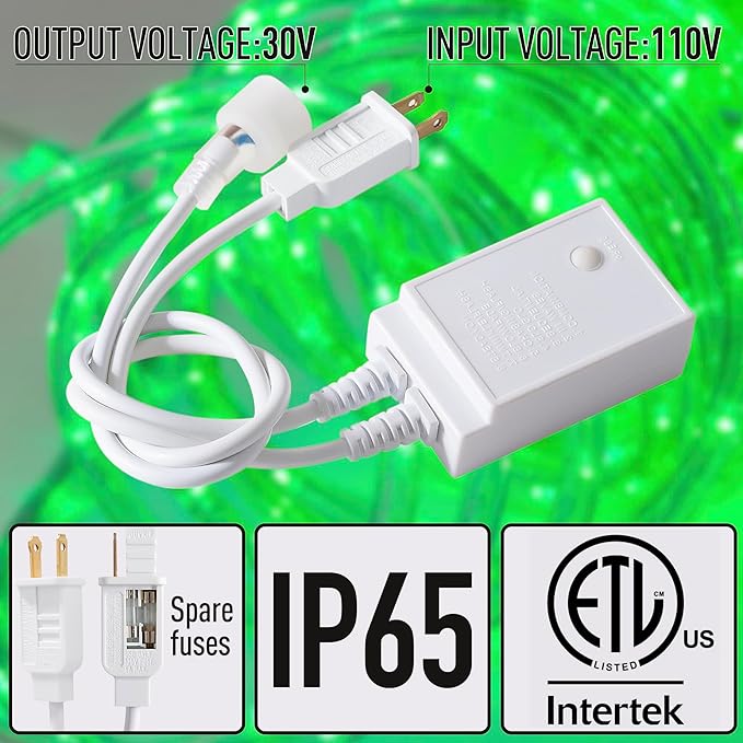 Waterproof LED Rope Lights, Connectable & Flexible with 8 Modes, Outdoor Lighting for Deck, Garden, Pool, Patio & Christmas Decor (Green, 20ft)