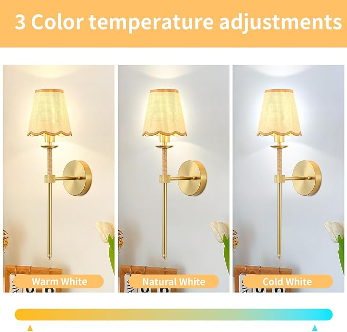 Boho Battery Operated Wall Sconce Set of 2, Gold Wireless Rechargeable Wall Lights with Rattan Shade, 12 RGB and 3CCT Dimmable Cordless Wall Lamps with Remote for Bedroom Living Room