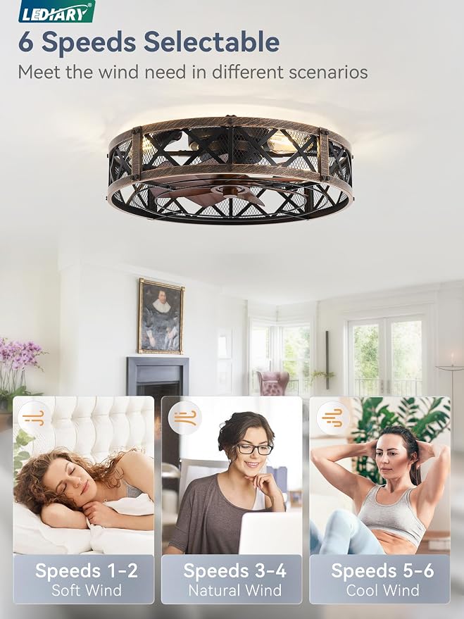 LEDIARY 23" Caged Farmhouse Ceiling Fan with Light, Flush Mount, Black Gold | Remote&APP Control, Large Low Profile, Rustic Fandaliers, Industrial Bladeless Enclosed, Powerful Motor for Bedroom, Kitchen