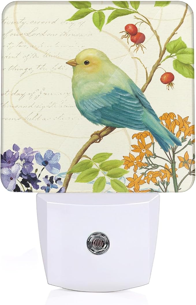 Bird Flower Night Light, Vintage Watercolor Bird Flower Night Lights Plug Into Wall with Dusk To Dawn Sensor Wall Lamp, Nightlights For Bedroom, Bathroom, Hallway, Kitchen, Gifts Ideal For Girls Women