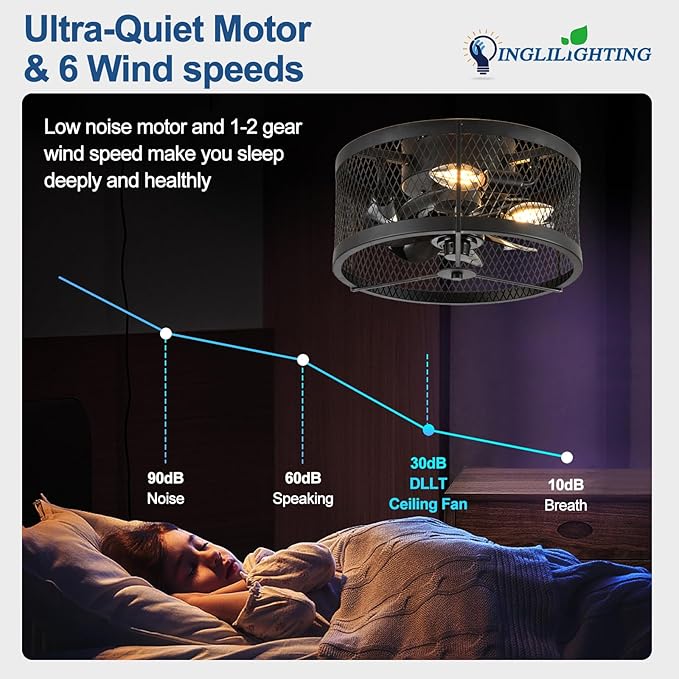 DLLT Caged Ceiling Fans with Light: 13" Small Outdoor Farmhouse Ceiling Fan with Remote App Control - Black Rustic Semi Flush Mount Bladeless Enclosed Fan for Bedroon Kitchen