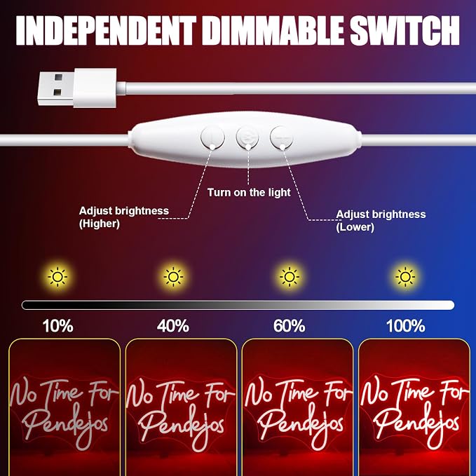 No Time for Pendejos Neon Sign Red Led Neon Light for Wall Decor Dimmable USB Spanish Language Neon Light Up Signs for Classroom Coffee Shop Bar Bedroom Study Room