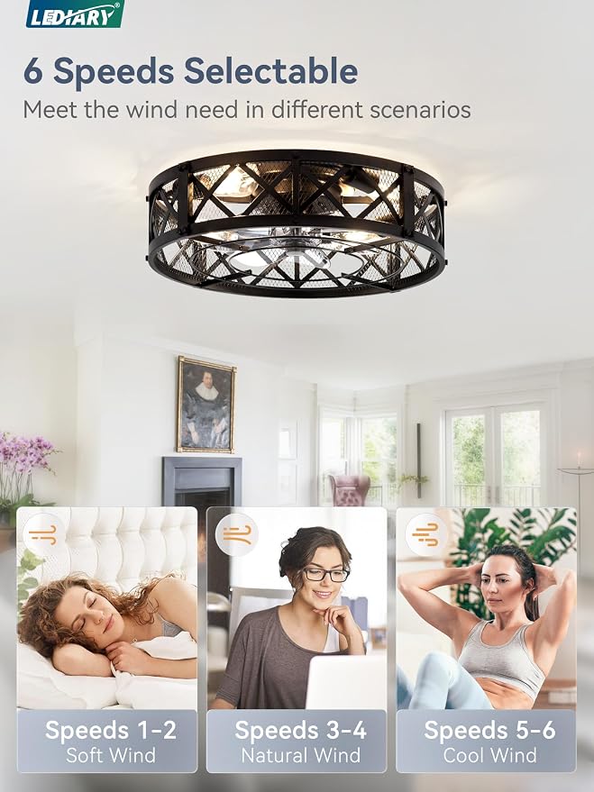 LEDIARY 20" Caged Farmhouse Ceiling Fan with Light, Flush Mount, Black | Remote&APP Control, Small Low Profile, Rustic Fandaliers, Industrial Bladeless Enclosed, Powerful Motor for Bedroom, Kitchen