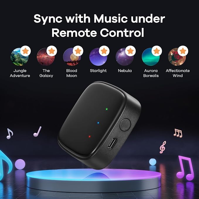 Linkind Outdoor Lights Smart Hub, Bluetooth Mesh Networks Group Control 32 Devices, 43 Dynamic Preset Scenes and Multiple Music via Remote Control, USB Charged, Work with Alexa and Google Assistant