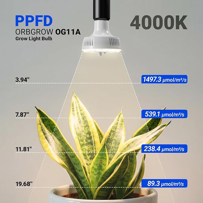 Barrina OG11A Grow Light Bulbs for Indoor Plant, 4000K 11W, 2 Packs, White | Integrated Dimming & Timing, E26 Plant Light Bulb, Full Spectrum, High PPFD for Seeds and Greens