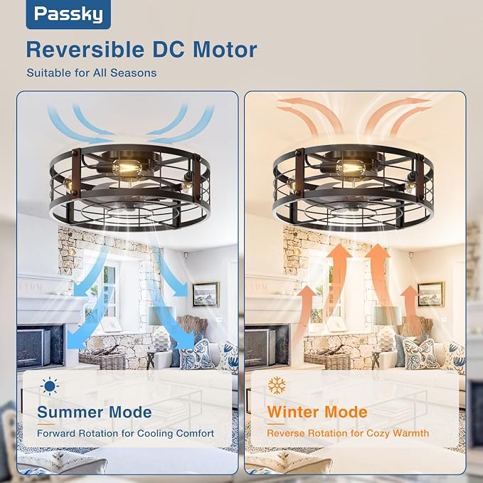 Passky 20" Caged Ceiling Fans with Lights and Remote, Low Profile Fandelier | Reversible DC Motor, 1/2/4H Timer, 6 Speeds, Farmhouse Style, Quiet Operation, for Bedroom, Kitchen, Dining Room, Living Room
