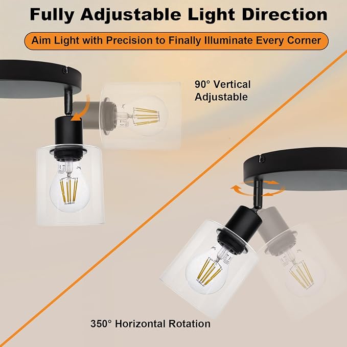 HiBay 3-Light Track Lighting Fixtures Ceiling Glass Directional Spotlight | Round 3 Heads with Glass Shades, Black Farmhouse Industrial, for Dining Area, Entryway, Closet, E26 Base