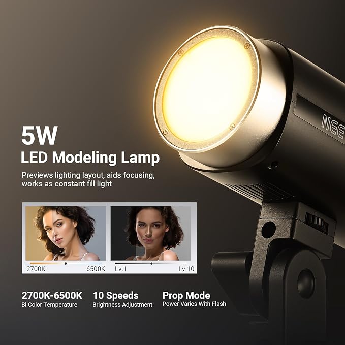 NEEWER 200Ws 2.4G TTL Outdoor Strobe Flash Compatible with Godox, 1/8000s HSS Portable Studio Photography Monolight with Modeling Light/3200mAh Battery/750 Flashes/1.5s Recycle, Q200