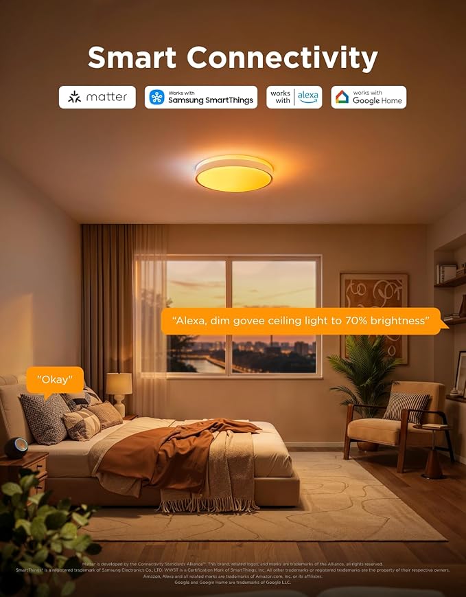 Govee Smart Ceiling Light Pro, RGBIC 4800LM 2700K-6500K 18 Inch 1 Pack | RGBIC LED Ceiling Light Fixture, 4800LM DIY Colors, Works with Matter Alexa, 2700K-6500K Lights for Living Room, Bedroom