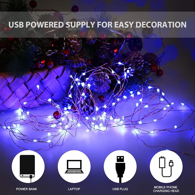 Ariceleo USB Powered Fairy Lights, 100 led 33 ft. USB Plug in Copper Wire USB String Lights for Bedroom Christmas Decoration Wedding Party Firefly Lights (Blue,1 Pack)