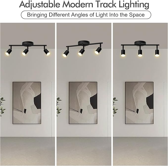 3 Light Track Lighting Fixtures Ceiling, 12W/2700K Black Track Lighting with Acrylic Lampshade & Rotatable Light Heads, 20000hrs Lifespan, Modern LED Track Lights Ceiling for Kitchen/Hallyway