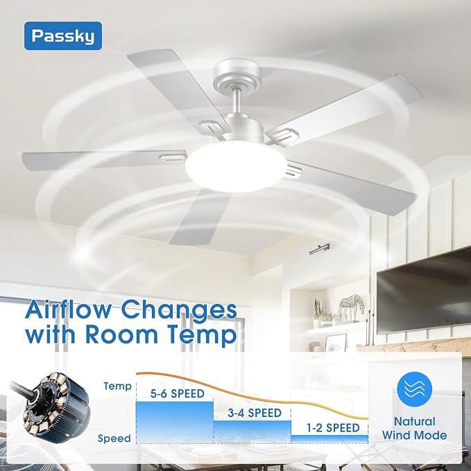 Passky Ceiling Fans with Lights, 52 inch Sleek Ceiling Fan with Light and Remote Control, 3CCT, Dimmable, Reversible, Noiseless, Silver Ceiling Fan for Bedroom, Living Room | 3-color dimmable light, quiet reversible DC motor, easy install, memory, Time...