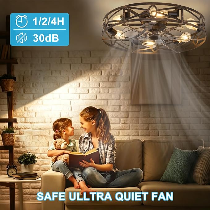 Depuley Flush Mount Ceiling Fan: 24" Caged Ceiling Fans with Remote Control for Patio Kitchen Bedroom - Low Profile Fandelier Lights Fixture Reversible 6 Speed Timer Brone 6*E26 Bulb Not Included