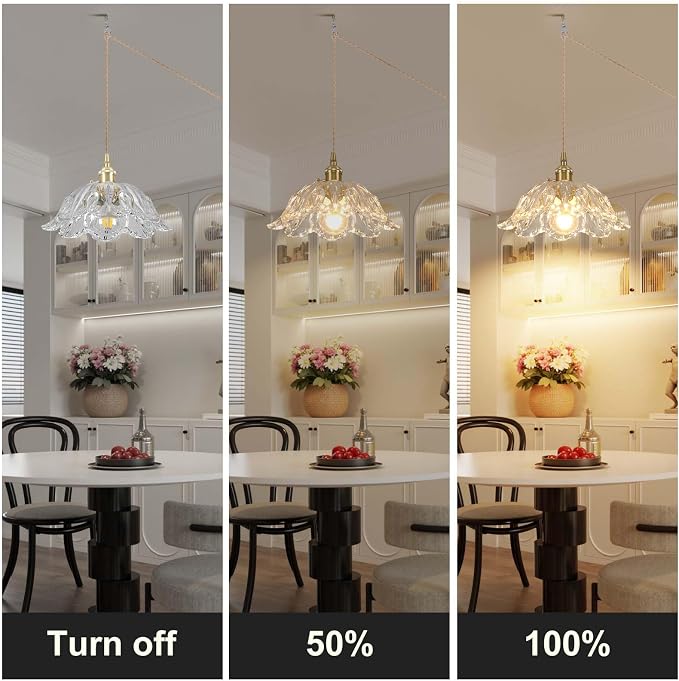 Plug in Pendant Light Fixtures,Hanging Light Fixture Transparent Glass Pendant Light 10.6in E26 Pendant Lighting for Kitchen Island, Bedroom, Dining Room, Living Room