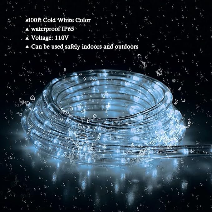 LED Rope Lights, 100Ft 110V Waterproof Rope Lights for Outside, Outdoor String Lights, Ideal for Eaves, Backyards Garden, Christmas Decoration(Cold White)