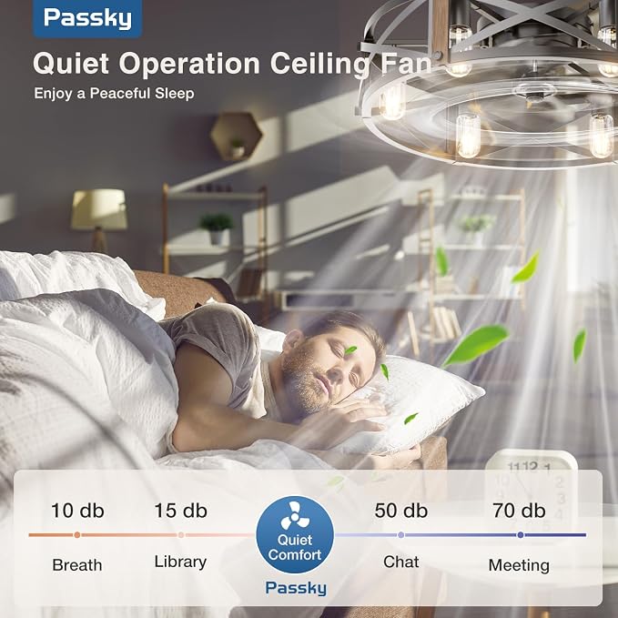 Passky 24" Caged Ceiling Fans with Lights and Remote, Low Profile Fandelier | Reversible DC Motor, 1/2/4/8H Timer, 6 Speeds, Farmhouse, Quiet Operation, 6 E26 Sockets, For Bedroom, Kitchen, Dining Room