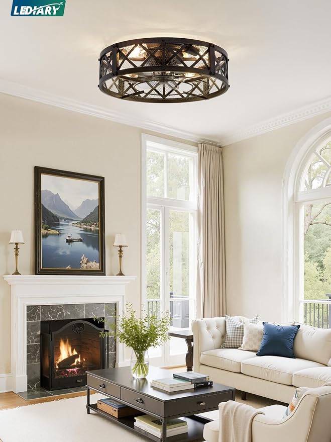 LEDIARY 20" Caged Farmhouse Ceiling Fan with Light, Flush Mount, Black | Remote&APP Control, Small Low Profile, Rustic Fandaliers, Industrial Bladeless Enclosed, Powerful Motor for Bedroom, Kitchen