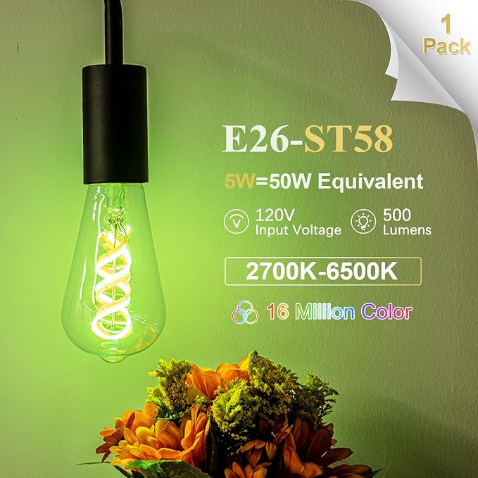 DiCUNO Smart Edison Bulb ST19, RGB Color Changing & Tunable White 1-Pack | WiFi Smart LED Bulb Work with Alexa & Google Home, 2700K-6500K Tunable via App, ST58 Edison Bulb 5W, 50Watt Equivalent, 500LM
