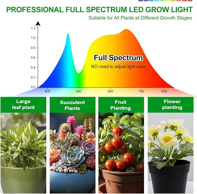 5Head Desk Grow Lights for Indoor Plant, Seed Starting, Bonsai, Full Spectrum Plant Grow Lamp, 4/8/12/16/20H Timer, 45 Watt Power Draw, NO Need Adapter, Adjustable Height(16"-24")