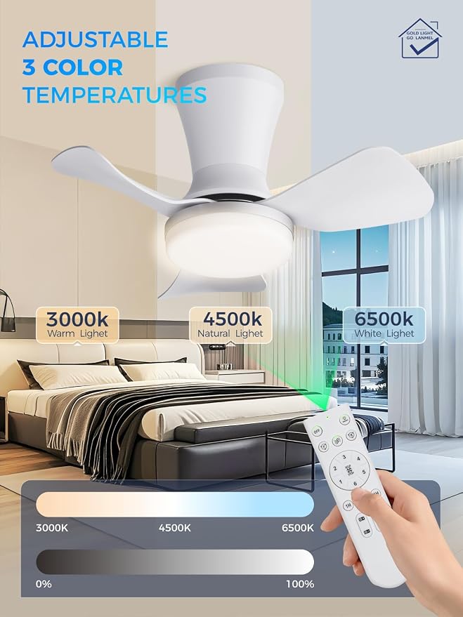 LANMEL Metal Ceiling Fan with Lights and Remote, 22 Inch, Silver & White | Modern Low Profile Flush Mount, Reversible, 3CCT Dimmable, Quiet, LED, For Bedroom, Living Room, Indoor/Outdoor Patio Use