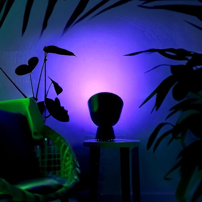 LIFX Color PAR38 Smart LED Bulb, 1600 Lumens, Indoor/Outdoor Can & Flood Light, Millions of Colors + Tunable White, IP65 Weatherproof, Wi-Fi, Works with Alexa, Google Home & Siri, LFXPAR381600RGBW