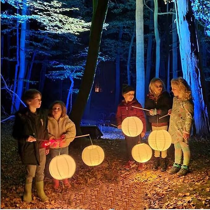 30 Pack Paper Lantern Lights Battery Operated Warm White Hanging LED Lights Super Bright Easy Use Decorative Lighting for Outdoor/Indoor Wedding Camping Party Events Balloon Lanterns,Last 36 Hours