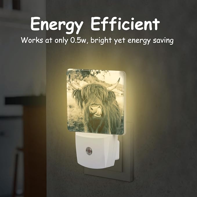 Night Light for Kids Girls Boys,Funny Dark Highland Cow LED Night Light Plug into Wall with Dusk to Dawn Sensor for Room Decor,Hallway,Kitchen,Bathroom,Nursery,Stairs