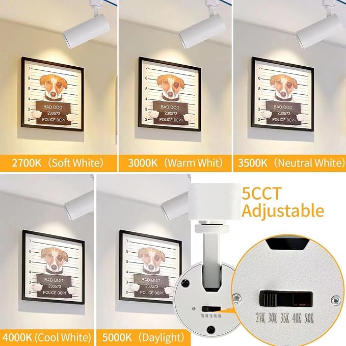 5CCT LED Track Lighting Heads 12W Dimmable,Zoomable Beam15°/24°/36°/45°/60°,2700K/3000K/3500K/4000K/5000K,Single Circuit H Track Lighting Heads Ceiling Fixtures Art Lighting,White-4Pack