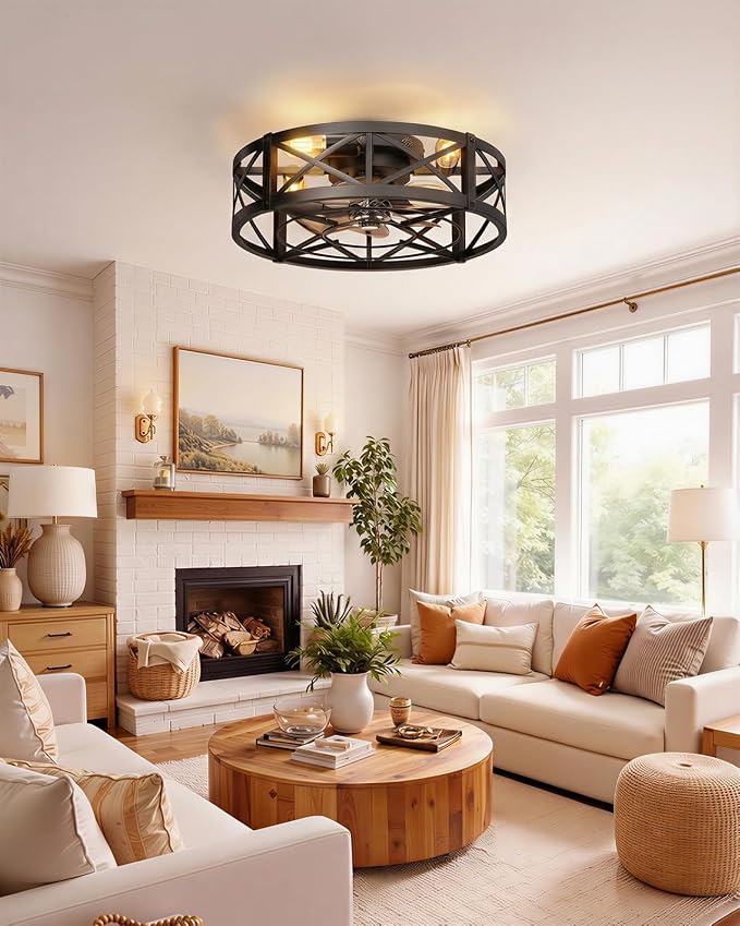 Caged Ceiling Fan with Light and Remote, 20" Low Profile Flush Mount Ceiling Fans with Light, 6 Speed, Timing, Reversible DC Motor, Small Farmhouse Fan Lights for Bedroon Kitchen Living Dining Room