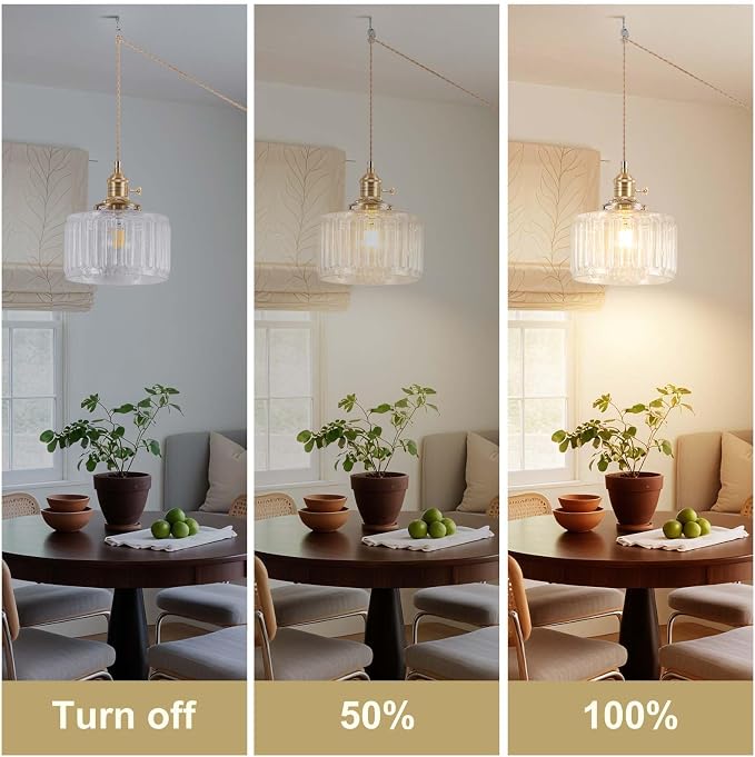 Pendant Light Fixtures,Plug in Hanging Light Fixture 6.6in Glass Pendant Light,E26 Pendant Lighting for Kitchen Island, Bedroom, Dining Room, Living Room