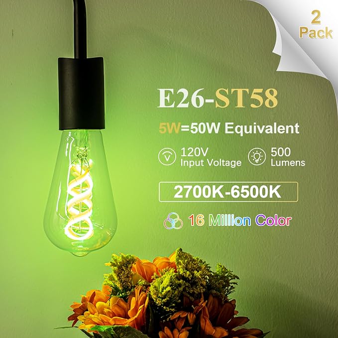 DiCUNO Smart Edison Bulb ST19, RGB Color Changing & Tunable White 2-Pack | WiFi Smart LED Bulb Work with Alexa & Google Home, 2700K-6500K Tunable via App, ST58 Edison Bulb 5W, 50Watt Equivalent, 500LM