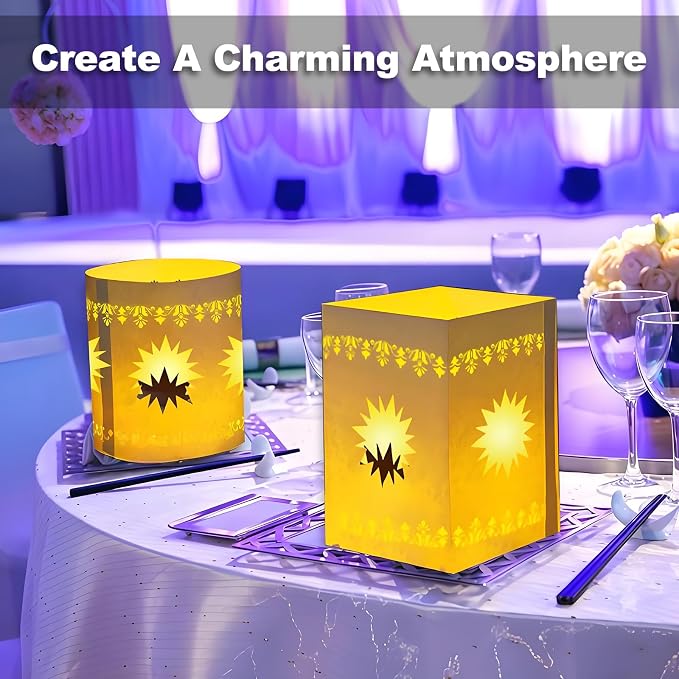 20 Pcs DIY Princess Hanging Lanterns with String Light and Ribbon | Thick Paper, Sun Cutout Pattern, Girls Birthday Party Decor, Provide Tools, 20 White, Batteries Not Included