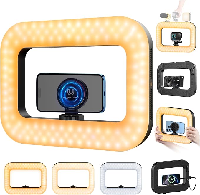 Magnetic Cell Phone Light for Video Recording, Handheld Phone Stabilizer with Light, 8000mAh LED Selfie Phone Ring Light with Phone Holder, Smartphone Video Rig for Camera, Vlog, TikTok