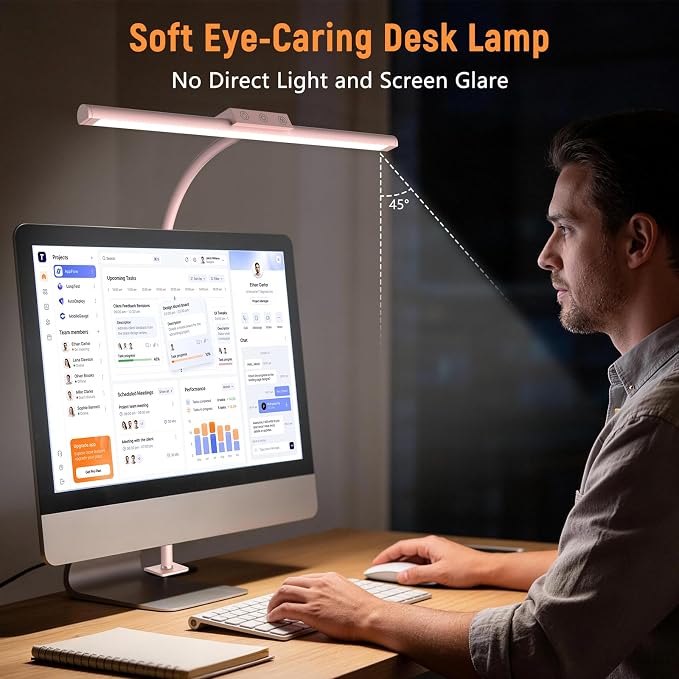 LED Desk Lamp for Home Office, Flexible Gooseneck Desk Lamp with Clamp, 5 Color Touch Control Stepless Dimming Adjustable Eye-Caring Desk Light with Adapter for Reading, Study, Workbench (Pink)