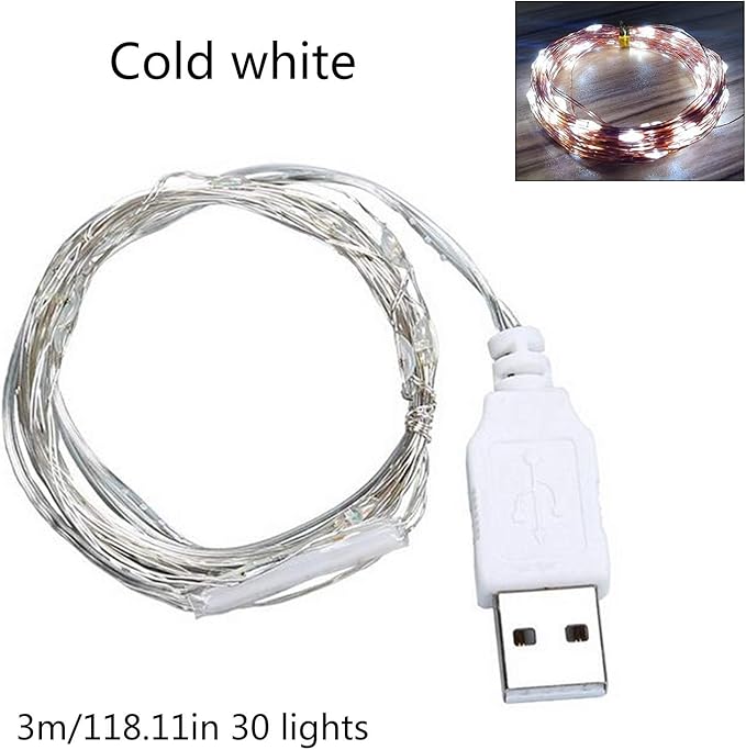 9ft 30 LED USB String Lights - Silver Wire Fairy Lights for Wedding, Party, Christmas & Festival Decorations, Multi-Color